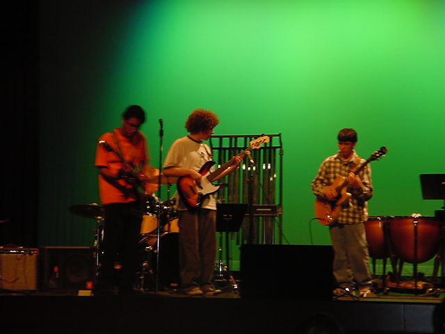 wolimo-percussion-green.jpg
